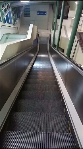 How To Use Escalator For The First Time || #Shorts