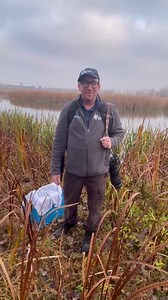 1.3K views · 105 reactions | As promised, here's the full video of the American bittern release at Tifft Nature Preserve! | The SPCA Serving Erie County, NY | Facebook