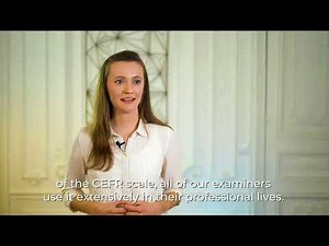 What is the Pipplet language examiner selection process?