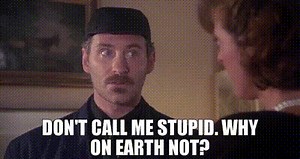 - Don't call me stupid. - Why on earth not?