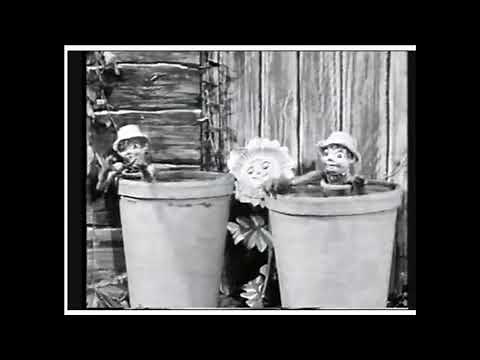 BILL & BEN ~ THE FLOWERPOT MEN