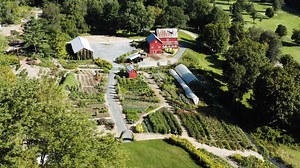 27 reactions | Thursdays and Sundays this summer ~ see the menus...