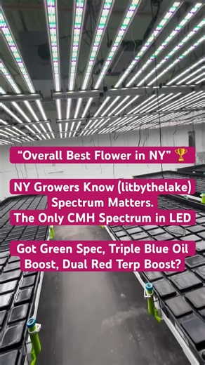 Sunlike spectrum. There are LEDs… and then there’s Mammoth. Spectrum matters.