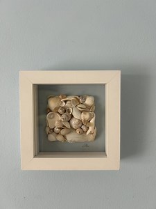 Shells Frame Beach Decor - Etsy Australia
