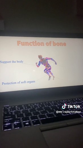 Understanding Bone Formation and Structure in a Visual Presentation