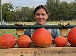 Jennifer Garner sings while showing off her pumpkins ahead of Thanksgiving