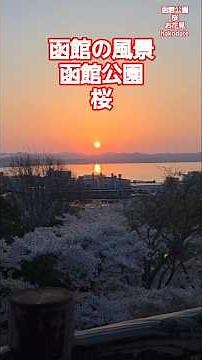 【NOWJAPAN】函館の風景！函館公園の展望台から見る日の出と桜／北海道・函館市