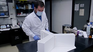 Chronic Stress Shifts Effort-Related Choice Behavior in a Y-Maze Barrier Task in Mice