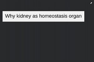 Why kidney as homeostasis organ... | Filo