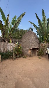 1.3M views · 18K reactions | Las casas elefantes de los Dorze, en Etiopía, son construcciones tradicionales hechas con bambú y hojas de falso banano. Su forma cónica recuerda a la cabeza de un elefante, de ahí su nombre. Estas casas pueden durar décadas y, cuando la base se deteriora, se recortan desde abajo, reduciendo su altura pero manteniendo la estructura habitable. #fblifestyletyle #inspirationofafrica | Quim Fàbregas | Facebook