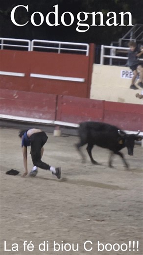 Course de nuit #codognan #reelsviralシ La fé di biou C booo | La fé di biou C booo