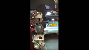Cat rides calmly on motorcycle through traffic in East Jakarta, Indonesia