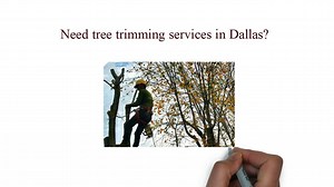 Tree Trimming In Dallas, TX