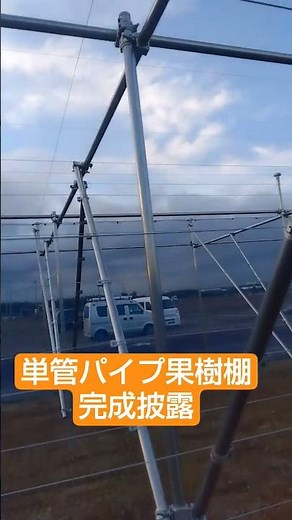 単管パイプ果樹棚 防風・防鳥ハウス 完成お披露目 @スローライフハウス事業部#単管パイプDIY#ビニールハウス#単管パイプ#農業用ハウス#浅井戸