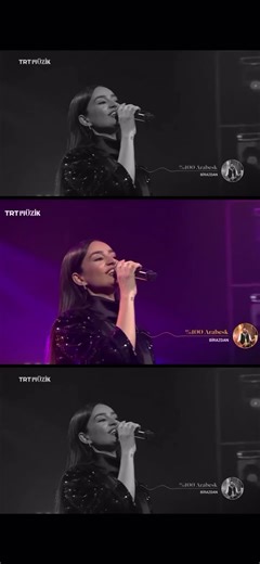 Şanguk Şerili Güllük Perili Silfanlım Açıklaması