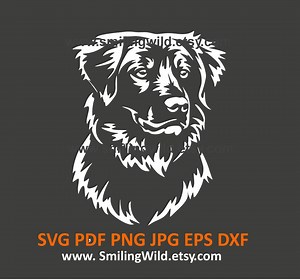 Toller Vector Clipart, Hunting Dog Canine SVG, PNG, DXF (digital Download) - Etsy