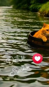 20K views · 415 reactions | Ej, evo me, moji stari drugovi, voli te Srećko  | Pacijent | Facebook