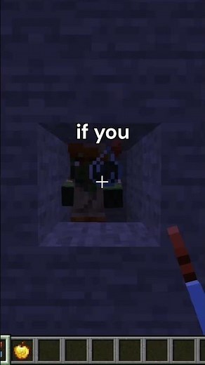 Minecraft Villager Zombification Tip #shorts #minecraft