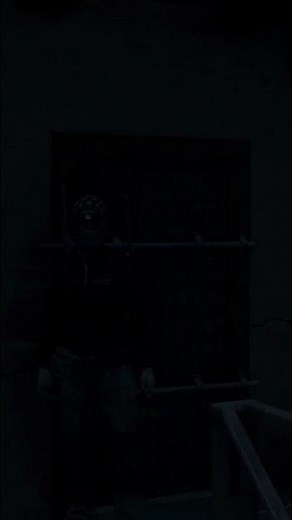 When Everything Goes Right in DayZ