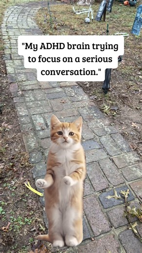 #Meme #MemeCut | meme