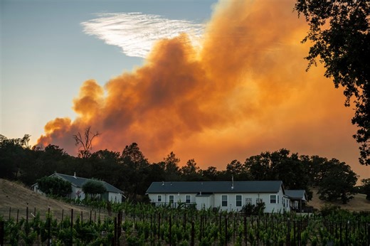 California officials testing ‘BurnBot’ machines for wildfire response