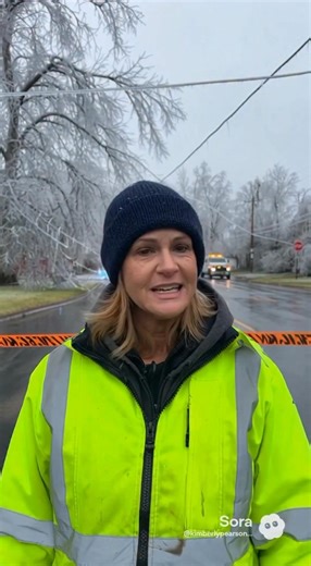 Warning! Do not go near down power lines! Even if they look safe they still can carry high voltage! Call your local power company and your local police department they can connect you to proper Roads Crew! Thank you for reporting the down lines it can save lives! #pearsonheatingandair #pearsonelectrical #southcarolina #northcarolina #icestorm | Kimberly Anne Pearson
