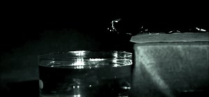 Robotic bees outdo their organic rivals by swimming