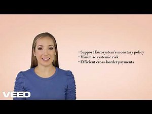 #14 TARGET 2 - Europe real-time gross settlement (RTGS) system #swift ‪@BankingPayments‬