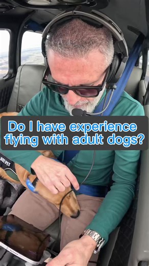 Ed Foley (@edfoleyz)’s videos with original sound - Ed Foley