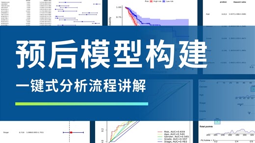 零代码实现预后模型构建 快速完成单因素多因素COX模型、独立预后、绘制生存曲线、ROC曲线、列线表 | 翰佰尔生物