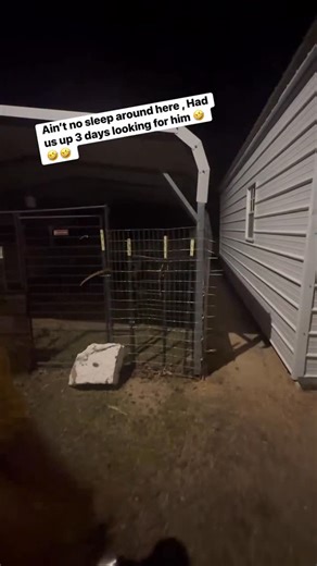 Tiffany Curry on Instagram: "🤣🤣🤣🤣🤣Get up RANCHER cause u done met your Match ,🤣..! #bigmamakids #Godisgood #singlemom #mamapoopoo #bigmama"