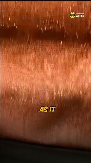 Most Luxurious Train Ride