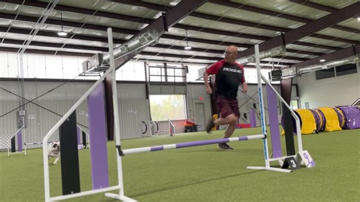 14K views · 1.7K reactions | Sunday Sermon at the Church of Ralphie:...