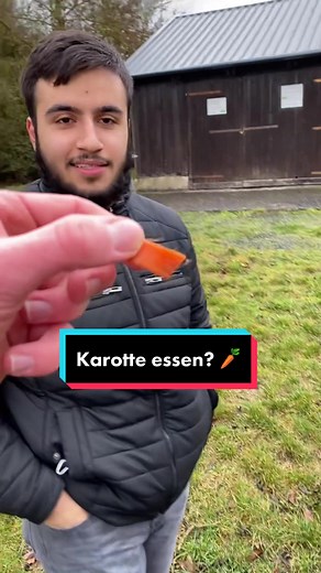 17 stifte 1 karotte 1 gabel