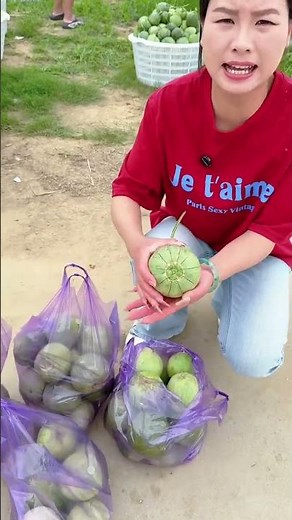 Amazing Farm Harvest!🍈 Fresh Fruit Picking & Countryside Life Vlog 🚜✨#Harvest #FarmLife #Agriculture