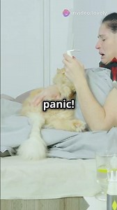 Feline Calicivirus: Symptoms, Prevention, and Care #FelineCalicivirus #CatHealth #PetCare #Cats