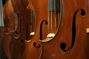 The Story of the Small Big String Instrument, AKA the Cello