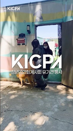 청년 회계사들이 만난 가장 작은 생명들 🐶