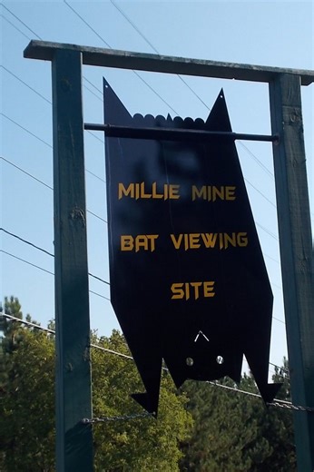 Ultimate Guide to Millie Hill Bat Cave, Michigan (Tours, Pricing, History, Map)