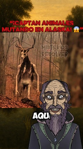 9.6K views · 158 reactions | #misterios #nahual | Misterios Sin Resolver | Facebook