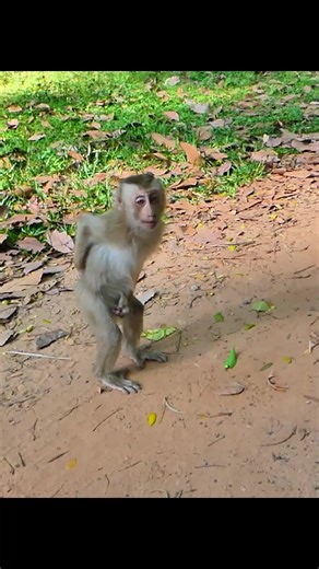 Tinky's Fun Dance Show for Everyone to Enjoy