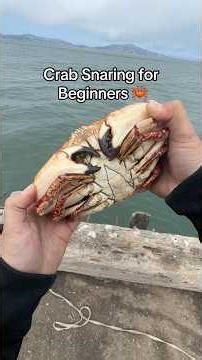 Crab Snaring Guide 🦀 #fishing #crabbing #sanfrancisco