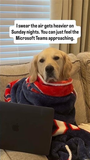 The Sunday Scaries hit different when Monday’s meetings are looming 😩