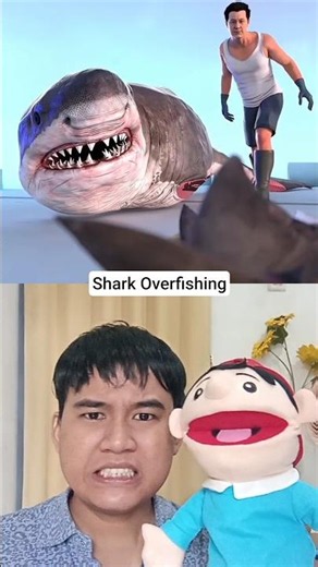 Shark Overfishing 😭