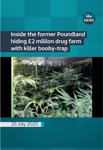 A drug farm with a crop valued at £2 million was set up inside a former Poundland shop by a criminal gang - who even fitted the door with a potentially fatal booby trap. The old Woolworths and Poundland building in Huntingdon High Street in Cambridgeshire had been transformed into living and growing space for hundreds of cannabis plants, protected by an electrified door that could have killed intruders. The operation was uncovered when a police officer was passing and noticed brand new CCTV came