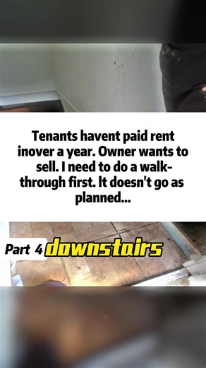 Roach Rave: Managing Infestations in Real Estate