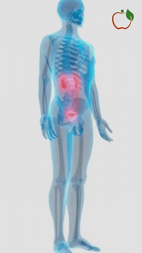 David White (@davidwhite499)’s videos with original sound - David White