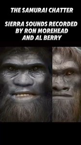 217K views · 5.2K reactions | The infamous “Samurai Chatter” recorded...