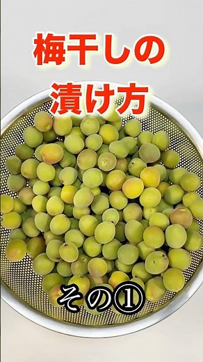 初めてでも上手に出来る梅干しの作り方（その①）／Super easy! How to pickle umeboshi #小梅の漬け方#梅干しの漬け方#梅干し#簡単梅干しの漬け方#梅干し#抗酸化作用