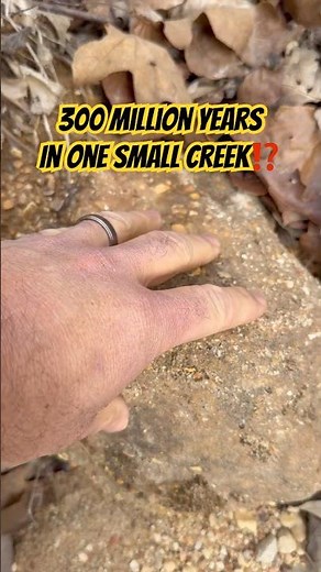 This Rock Captures 300 Million Years of Oklahoma’s Geology #rockhounding #geology #shorts